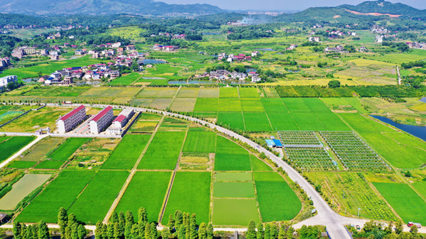 遠景600.jpg 遠景600.jpg